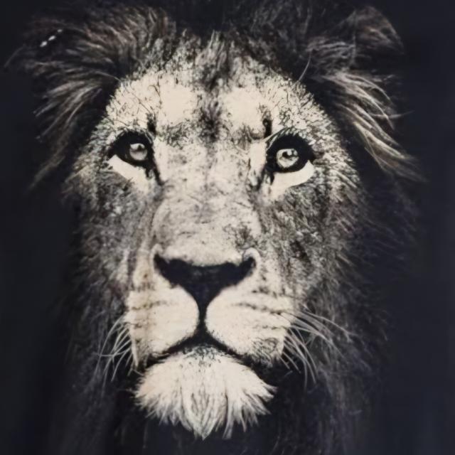 Imagem do grupo REMANESCENTES