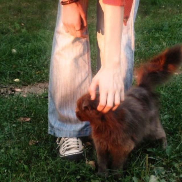 Imagem do grupo ⬳gᥱrᥲᥴ̧ᥲ̃᥆ ⍴ᥲssᥲძᥲ⬳