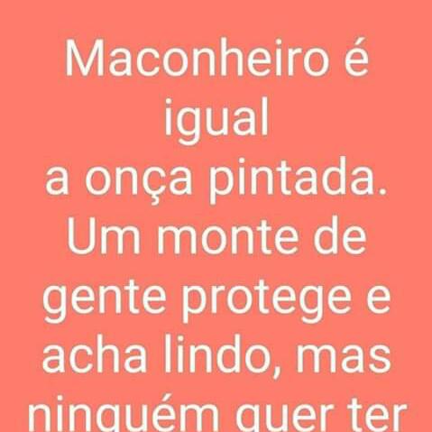 Imagem do grupo ╰‿╯Bσหdε dค Zσε¡яค꧂╰‿╯1.0