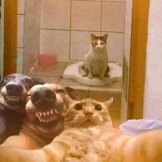 Imagem do grupo JOGANDO CONVERSA FORA💯