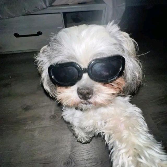 Imagem do grupo 🌺❤ 𝐑𝐄𝐒𝐄𝐍𝐇𝐀 𝐄 𝐀𝐌𝐈𝐙𝐀𝐃𝐄 🫶🏻❤️🌺