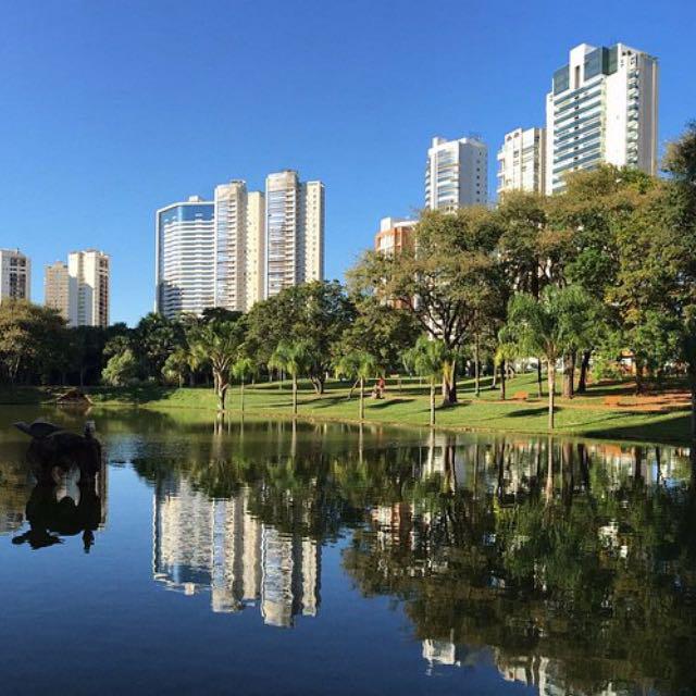Imagem do grupo Mundo liberal Goiânia e região 🔥