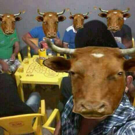 Imagem do grupo 𓆩Hospício Vip𓆪