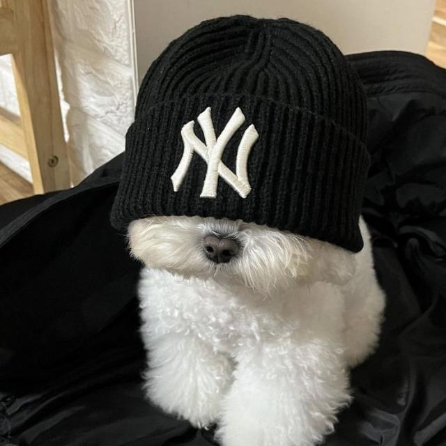 Imagem do grupo web bests🤓