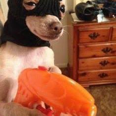 Imagem do grupo Fam&iacute;lia da web