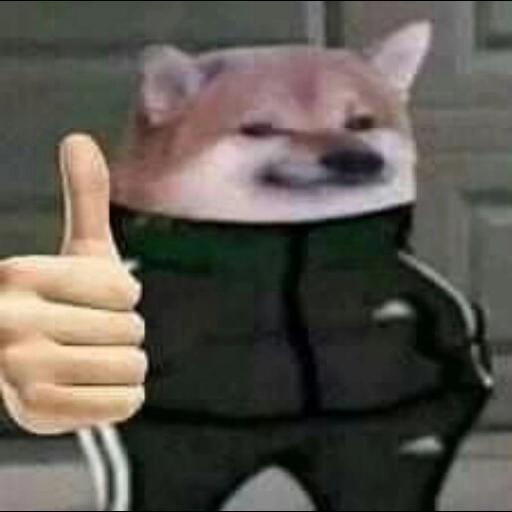 Imagem do grupo ༺𝖋𝖆𝖇𝖗𝖎𝖈𝖆 𝖉𝖊 𝖋𝖎𝖌𝖚𝖗𝖎𝖓𝖍𝖆𝖘༻