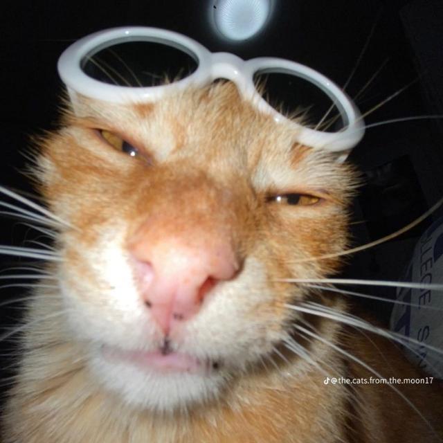 Imagem do grupo 🍻𝐁𝚫𝐑 𝐃❍𝐒 𝐋❍𝐔𝐂❍𝐒🍻