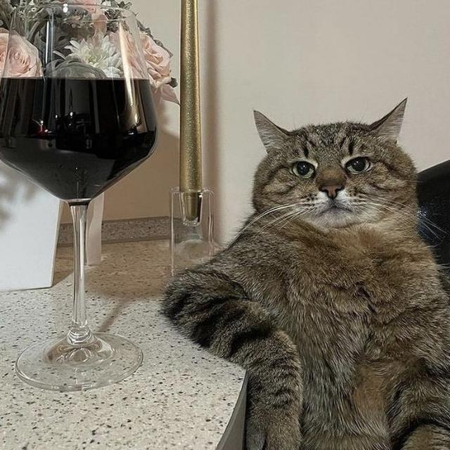 Imagem do grupo 𝙵𝙸𝙶𝚄𝚁𝙸𝙽𝙷𝙰𝚂 𝟺.𝟶