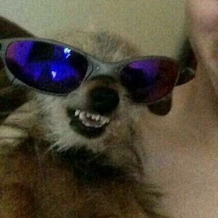 Imagem do grupo ⚠️👉🏽CAPS SEM MILITES👈🏽⚠️