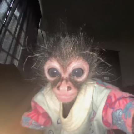 Imagem do grupo 😶&zwj;🌫️Zueira 24h😶&zwj;🌫️