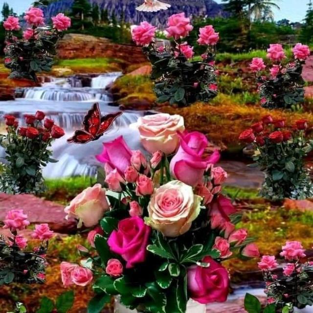 Imagem do grupo friendy flowers