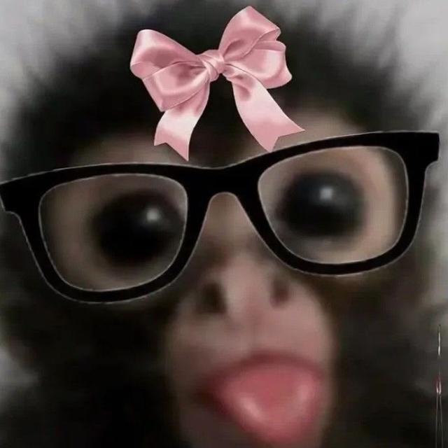 Imagem do grupo Engaja TikTok🌹