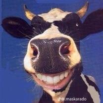 Imagem do grupo Elite dos vidalokas