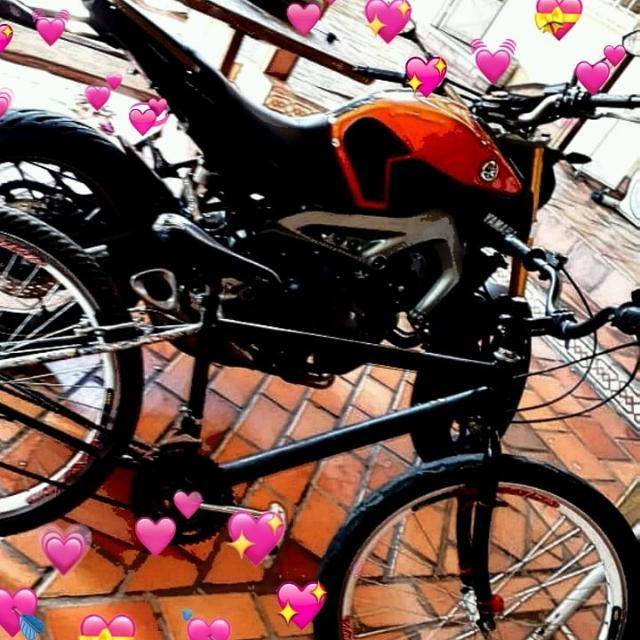 Imagem do grupo Pedal_244_bh