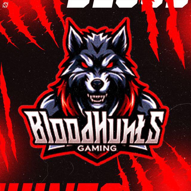 Imagem do grupo BloodHυɴ丅ѕ Gaming