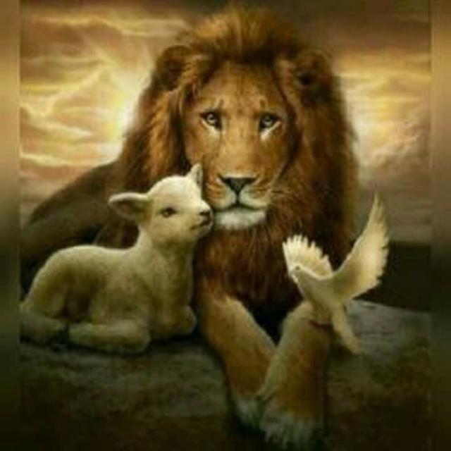 Imagem do grupo ꧁ঔৣ☬✞Amigos de Yeshua✞☬ঔৣ꧂