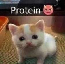 Imagem do grupo 🌟Figurinhas e Memes💫