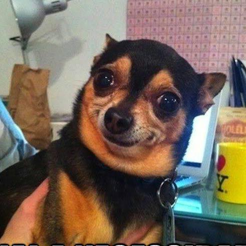 Imagem do grupo Zueira 