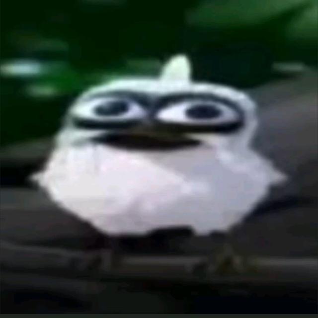 Imagem do grupo Engaja TikTok🌹