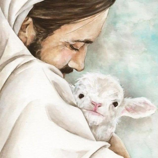 Imagem do grupo Grupo de oração e devocional 