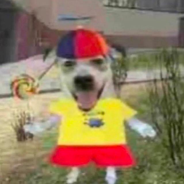 Imagem do grupo Hoje ta ruim, amanhã piora 🤣💯💯💯