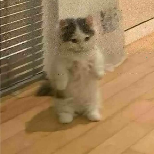 Imagem do grupo 𓆩𝕗𝕣𝕚𝕖𝕟𝕕𝕤𓆪✌︎