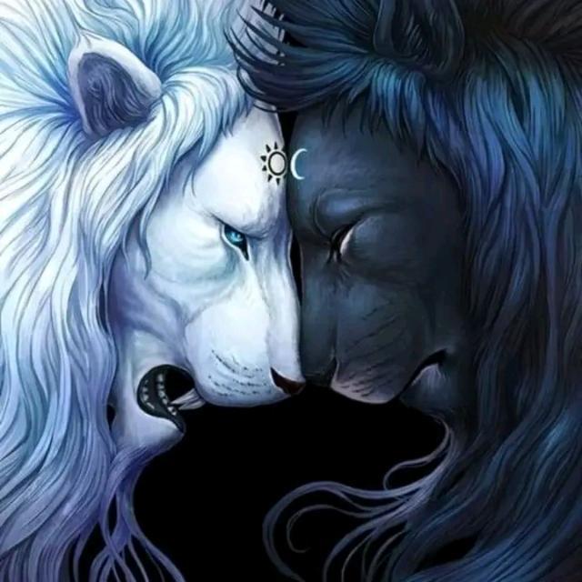 Imagem do grupo Sã Doutrina