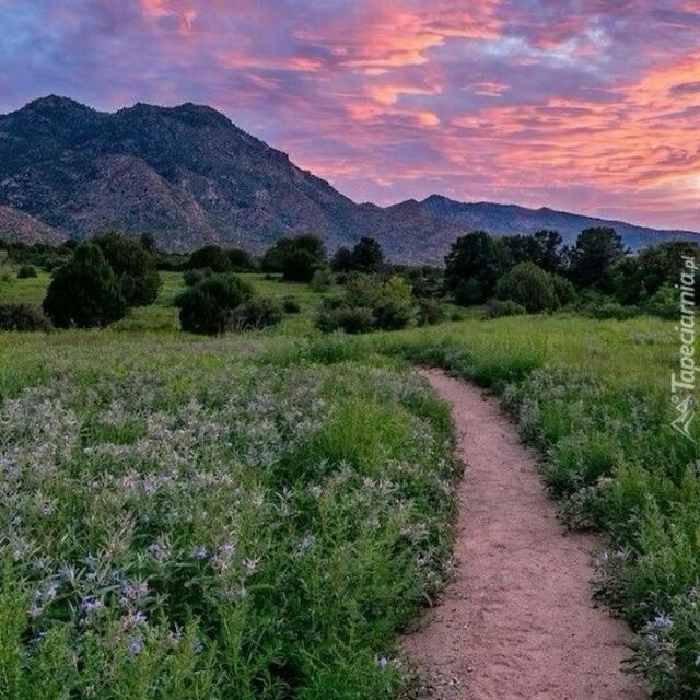 Imagem do grupo Paz ✌🏾