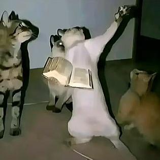 Imagem do grupo 🍿😎 N.E.T. – Nem Entendi, Tô rindo