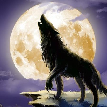 Imagem do grupo ALCATEIA SOLITARIA 