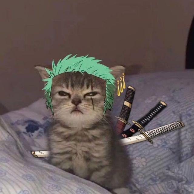 Imagem do grupo *✰𝔸𝕞𝕚𝕫𝕒𝕕𝕖𝕤✰*