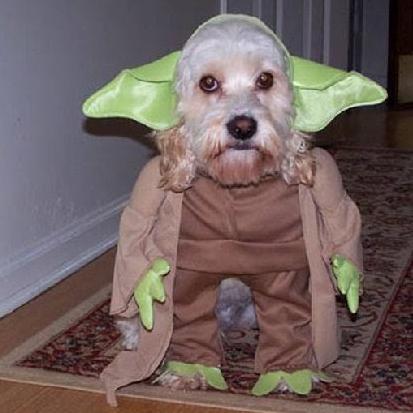 Imagem do grupo OS MALUCOS DO ZAP