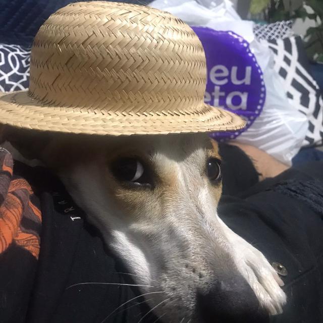 Imagem do grupo ⪻♛₭łĐ ₲₳₥ɆⱤ♛⪼