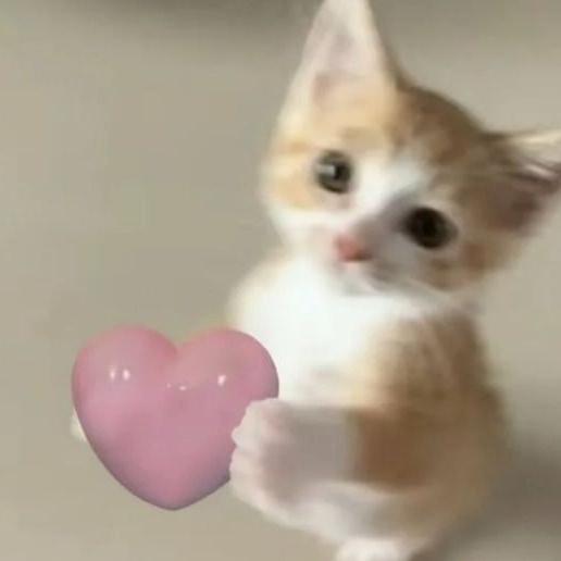 Imagem do grupo suquinho de laranja 🍊