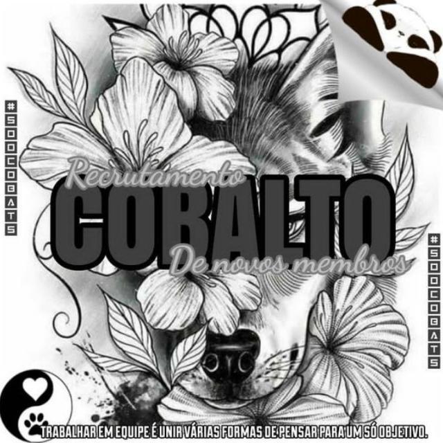 Imagem do grupo 𝕽𝖊𝖈𝖗𝖚𝖙𝖆𝖒𝖊𝖓𝖙𝖔 ⁰⁶ 🩵✨