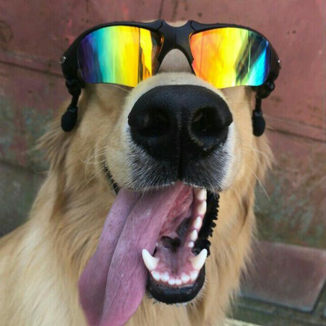 Imagem do grupo 《Amizades e zueiras 》🥴