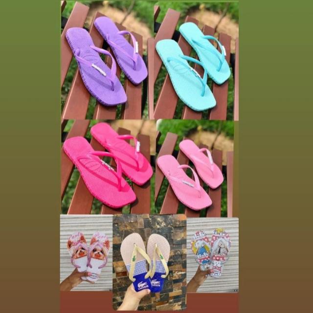Imagem do grupo Havainas da fábrica grupo 2🩴🥰📫📦