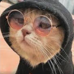 Imagem do grupo ➳ 𝙛𝙪𝙘𝙠 𝙮𝙤𝙪 𝙡𝙤𝙫𝙚𝙨 ⌫