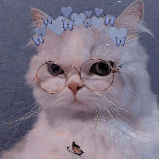 Imagem do grupo ★༒༺𝙒𝙀𝘽 𝘼𝙈𝙄𝙕𝘼𝘿𝙀𝙎༻༒★