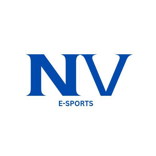 Imagem do grupo Recrutamento NV E-SPORTS