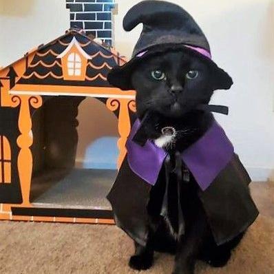 Imagem do grupo 𝗚𝗥𝗨𝗣𝗢 𝗖𝗘𝗡𝗧𝗥𝗔𝗟 ✏️