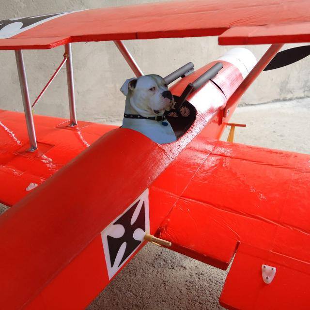 Imagem do grupo Manos da Parada ❤🍻 PT/BR