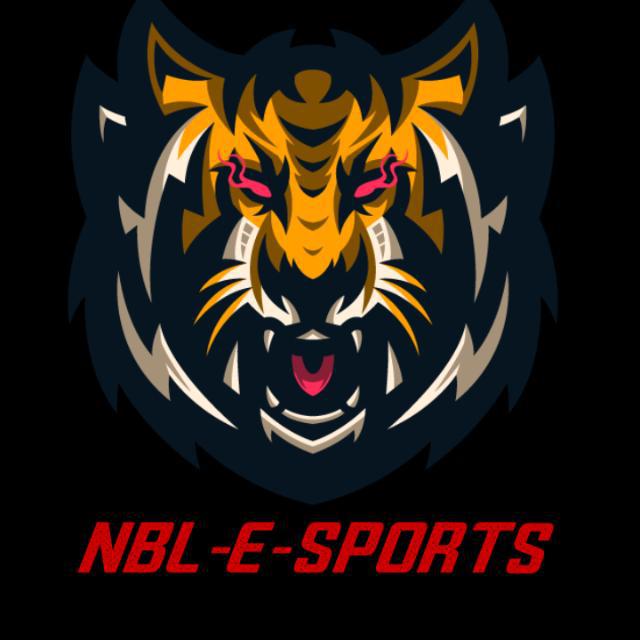Imagem do grupo NBL-E-SPORTS