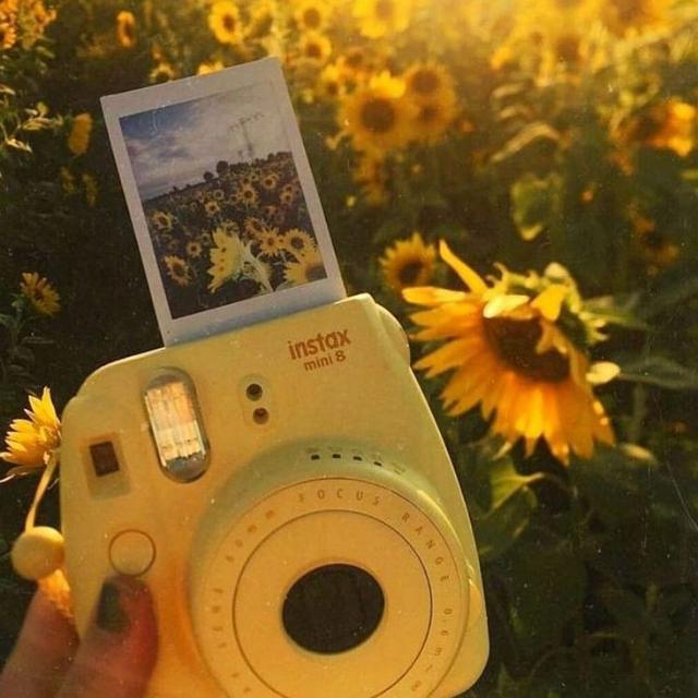 Imagem do grupo 🌻𝑨𝒎𝒊𝒛𝒂𝒅𝒆𝒔💛