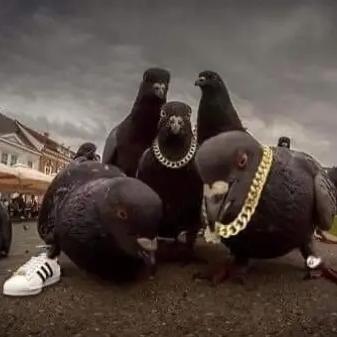 Imagem do grupo Conversa infinita⚡💯