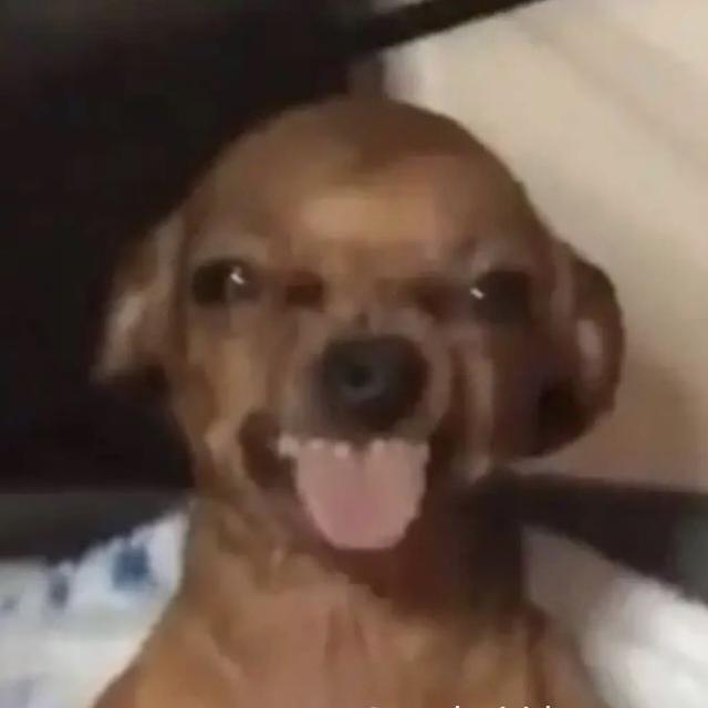 Imagem do grupo ℝ𝕖𝕤𝕖𝕟𝕙𝕒☕︎︎