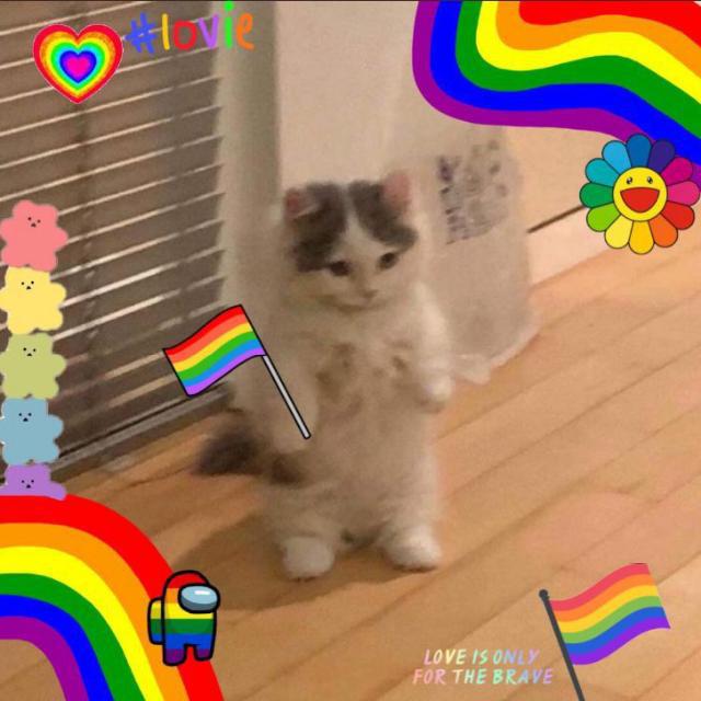 Imagem do grupo POL&Iacute;TICA🇧🇷🇨🇳🇺🇸