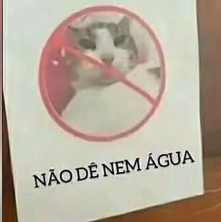 Imagem do grupo Status 24h