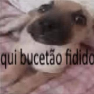 Imagem do grupo Qui bucetão fidido