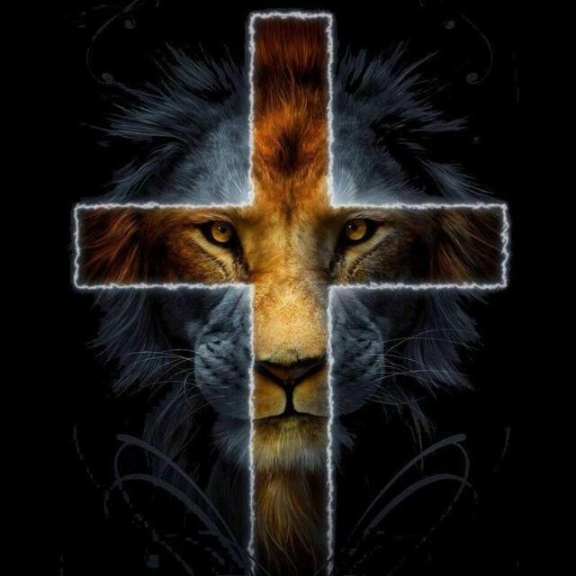 Imagem do grupo Grupo da fé 